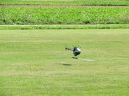 Flugtage